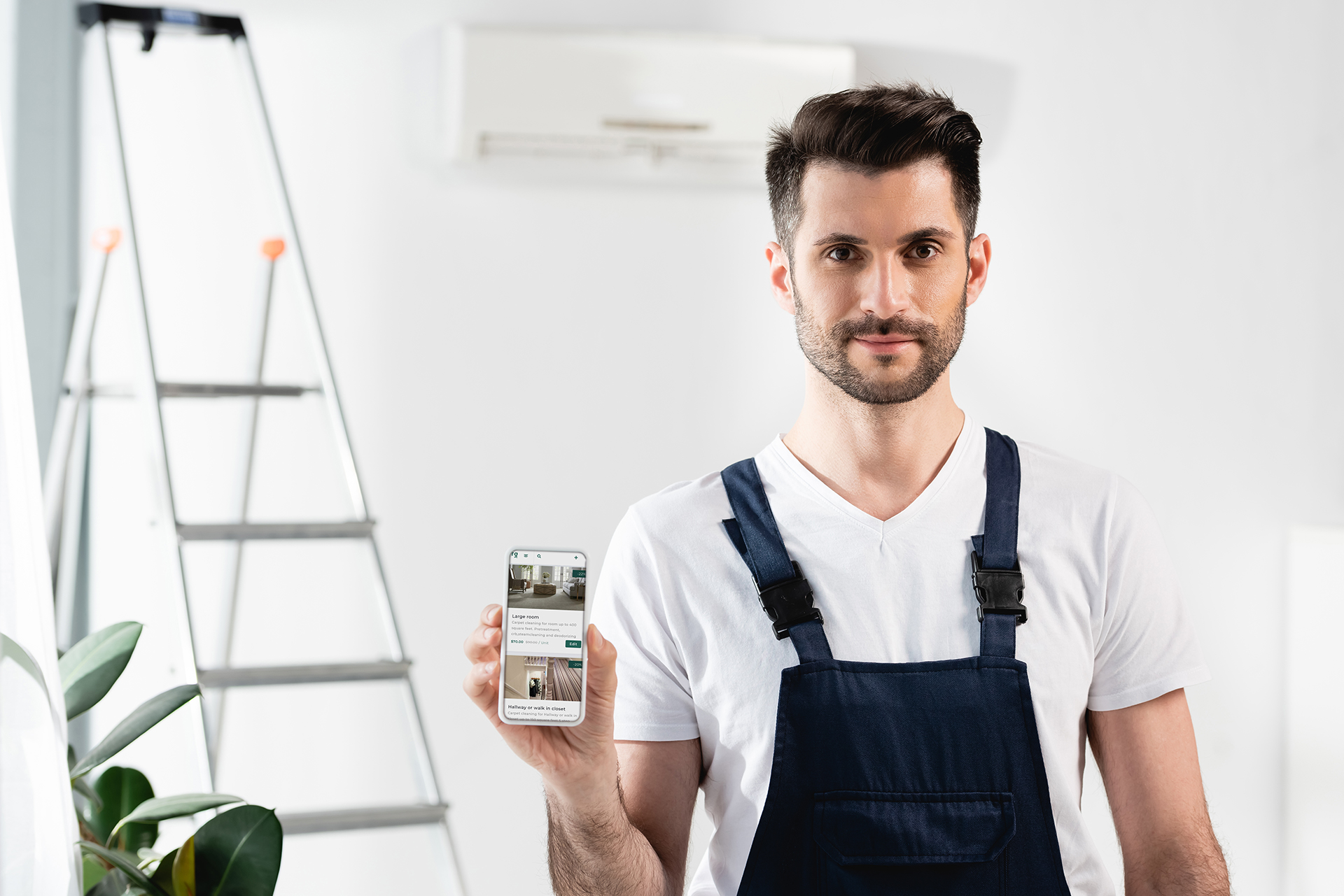 Regnum AI a Window of Opportunities